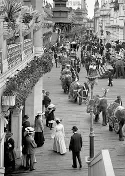 librar-y:  New York circa 1905. Coney Island - Luna Park promenade.