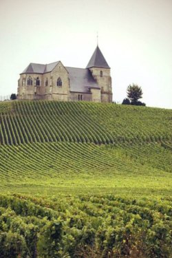 ghostlywatcher:  Burgundy, France. 