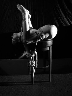 buggybee:  Buggy Bee’s Theme Thursday “Shibari/Kinbaku”