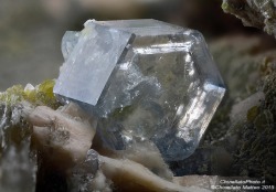 underthescopeminerals:    Fluorapatite   Locality:Carvalhal quarry,
