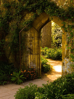 outdoormagic:  The secret garden by Stephen Warner 