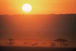soleilglow:  Masai Mara National Reserve, Kenya // Photography