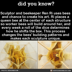 dragondeviant:  did-you-kno:  Sculptor and beekeeper Ren Ri uses