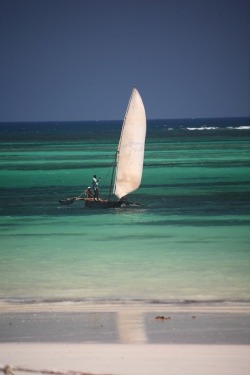 sandylamu:  Zanzibar