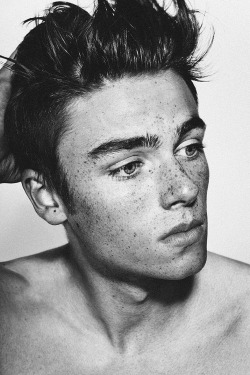 fresh-bloom:  i’d never seen this one by itself so hear you