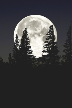 wavemotions:Moonset Mammoth Lakes by Ronald Diel