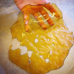 weedporndaily:  50g sheet of #GorillaGlue run by @dirty_the_great