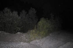 lazy-painting:  Derelict Quarry. Nightscape.  