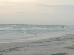 asurferdreams:  Surfing posts