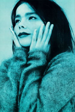 bjork is harsh noise