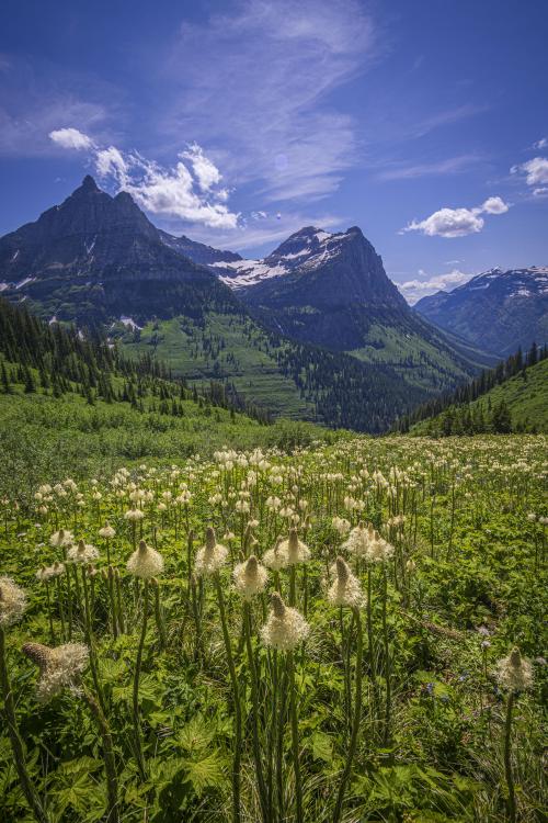 amazinglybeautifulphotography:[OC][4000x6000] Montana sneaks