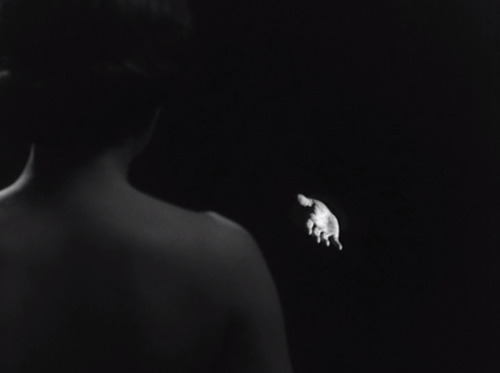 vincekris:Waiting Women - Ingmar Bergman - 1952  