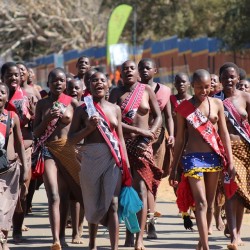   Zulu reed dancers, via lefrish