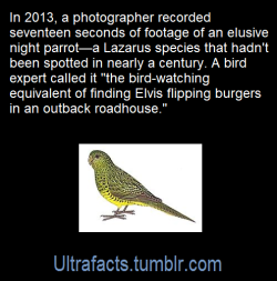 ultrafacts:  Source: [x]Click HERE for more facts!