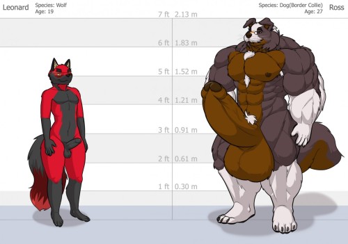 Leonard & Ross Size ReferenceArtist:  Blueblaster on FA