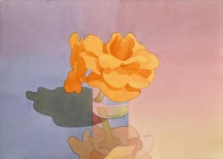 durgapolashi: Orange Begonias in Glass  Mark Adams 