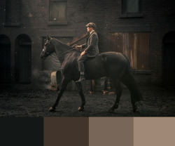 cillianmurphydaily:  Peaky Blinders x Colour Palettes