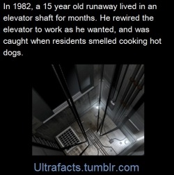 ultrafacts:  His secret home was furnished with lights, a bed,