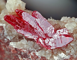 themineralogist:  Cinnabar from Germany