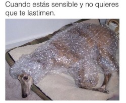 que sucede?
