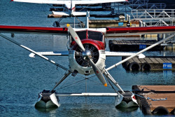 see-the-world-from-a-small-plane:   	1948 DeHavilland DHC-2 Beaver