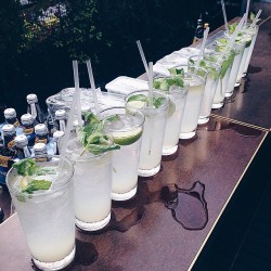 danimansutti:  The yummiest mocktails of all time @bondisands
