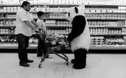 t-h-e-r-e-d-d-o-o-r:  Nunca le digas NO a u panda!!  NUNCA..!!!