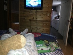 ykdave:  Lazy Saturday, still in bed, watched some cartoons, now wicked tuna. Might go play with my Legos in a while :) 