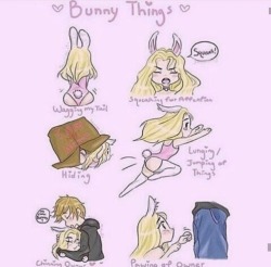 ~Bunny~