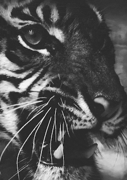 5ukhi.tumblr.com/post/85633999718/
