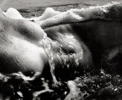 oldalbum:  Lucien Clergue - Female nude with wave, 1963