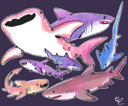 cherryberrylemon: *blows a kiss 2 the ocean* 4 the sharks <3 