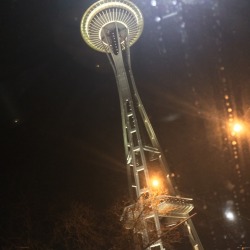 skinlesswalker:  Seattle last night was rad 