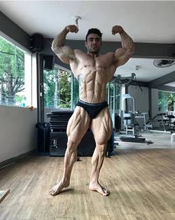   Rafael Brandao Ifbb Pro