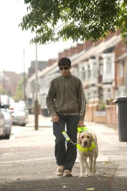 dogjournal:  TV PROGRAM ABOUT GUIDE DOGS IN THE U.K. - “With