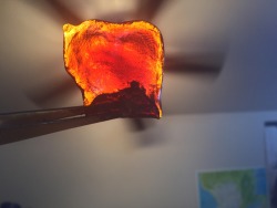 pokinsmots:  Eighth of the oil badasscannabitch and I recently