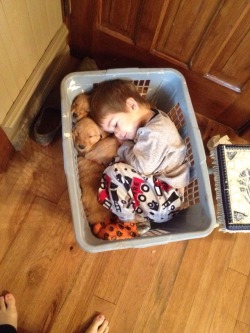 the-deathramps:  awwww-cute:  Little guy fell asleep in a basket