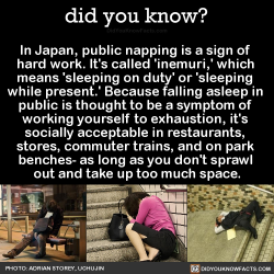 did-you-kno:  In Japan, public napping is a sign of  hard work.