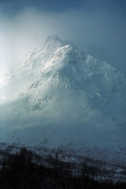 -vvaste:  Magical Arctic (by Mathias Kellermann (as Titus1st))