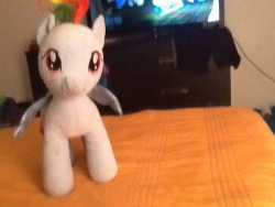 datonegamer:  Forgot to post when i got it but I got the rainbowdash