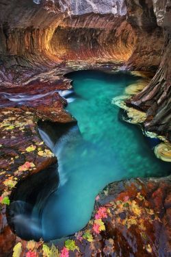 sixpenceee:This is Blue Water, Subway, Zion National Park, Utah.