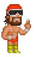 pixelfigures:  “Macho Man” Randy Savage Pixel Figure