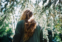 ercuillium:  Take these broken wings and learn to fly | via Tumblr