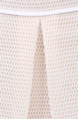 zonation:  White High Waist Net Skater Skirt 