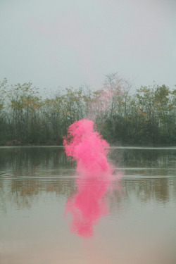 netimu:  Silence | Filippo Minelli