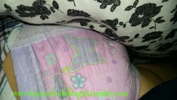 fantasticdiapergirl:  Ya estoy en la cama con mis drynites bajo