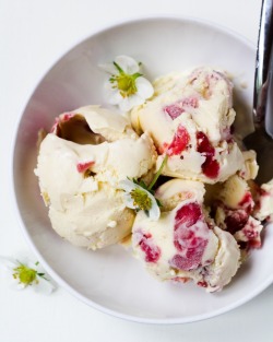 keroiam:  Recipe:  Strawberry-Sour Cream Ice Cream 