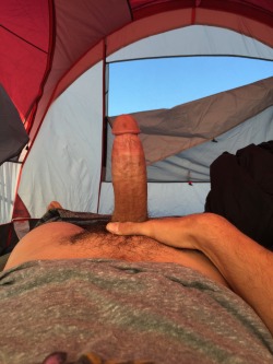 inthetrailerhood:  The tent pole appears to be a tad short but