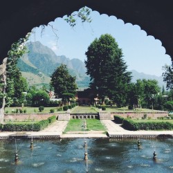 bairaag:  Shalimar Gardens, Kashmir
