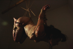 ainokawaki:  Rope and photo: Julien Lacoma ( Hangknot) http://hangknot.tumblr.com/Model:
